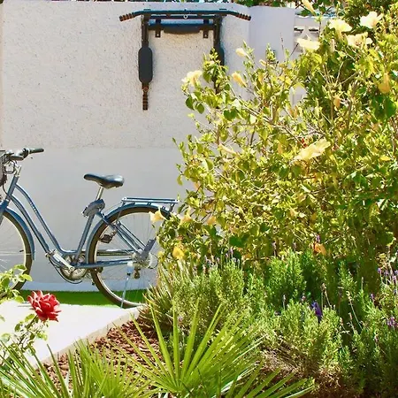 ヴィラ Entire By The Sea With Private Garden And Mini Pool トレビエハ