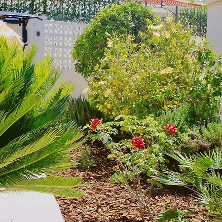 Entire By The Sea With Private Garden And Mini Pool ヴィラ *